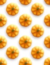 Pumpkin seamless pattern. Modern Autumn background. Vector illustration Royalty Free Stock Photo