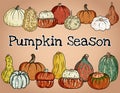 Pumpkin season decorative banner with cute colorful pumpkins. Fall harvest greetings postcard
