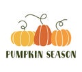 Pumpkin season. Set of flat orange pumpkins. Harvest, halloween, thanksgiving