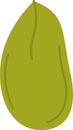 Pumpkin Seed Icon