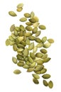 Pumpkin seed isolated on white Royalty Free Stock Photo