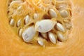 Pumpkin seeds