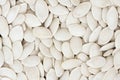 Pumpkin seeds Royalty Free Stock Photo