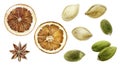 Pumpkin seeds dried orange anise set watercolor painting isolated on white background