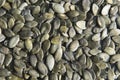 Pumpkin seeds Royalty Free Stock Photo