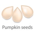 Pumpkin seeds mockup, realistic style