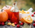 Pumpkin seeds oil bottle, pumpkins, hawthorn berries and mortar Royalty Free Stock Photo