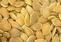 Pumpkin seeds pepitas Royalty Free Stock Photo