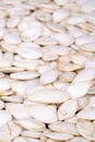 Pumpkin seeds Royalty Free Stock Photo