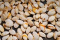 Pumpkin seeds. Royalty Free Stock Photo