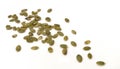 Pumpkin seeds scattered on white background