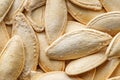 Pumpkin seeds, unpeeled with salt, in bulk, close-up macro, full depth of field, background