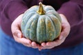 Pumpkin Series 04 Royalty Free Stock Photo