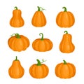 Pumpkin set for Halloween party, orange cute pumpkin clipart collection, fall farm squash