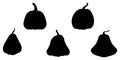 Pumpkin. Set of silhouettes of different pumpkins. Black silhouettes of pumpkins. Isolated on white. Royalty Free Stock Photo