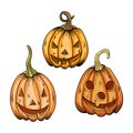 pumpkin Set pumpkin on white background. Orange pumpkin with smile for your design for the holiday Halloween. Vector Royalty Free Stock Photo