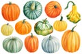 Pumpkin set on white isolated background, autumn harvest, watercolor drawings