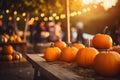 Pumpkin shop at farmer market during halloween season Royalty Free Stock Photo