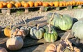 Pumpkin shop at pumpkin patch Royalty Free Stock Photo