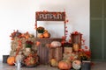 Pumpkin shop. Pumpkins in baskets and boxes. Many different pumpkins for sale. Concept of autumn, harvest and Royalty Free Stock Photo