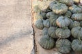 Pumpkin shop in rural community market Thailand food vegetables. Royalty Free Stock Photo