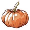 Pumpkin sketch. Halloween decoration element. Autumn farm harvest. Ingredient of Thanksgiving meals.