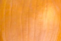 Pumpkin skin texture close-up Royalty Free Stock Photo