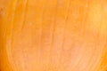 Pumpkin skin texture close-up Royalty Free Stock Photo