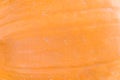 Pumpkin skin texture close-up Royalty Free Stock Photo