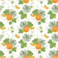 Pumpkin, slice and leaves seamless pattern traditional autumn vegetable watercolor hand drawn illustration for autumn holidays Royalty Free Stock Photo