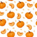 Pumpkin, pumpkin slice, pumpkin seeds and pumpkin pattern