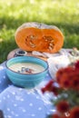 Pumpkin soup in blue plate with green background