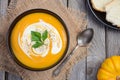 Pumpkin soup with cream and parsley on wooden background Royalty Free Stock Photo