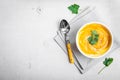 Pumpkin soup with parsley background Royalty Free Stock Photo