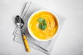 Pumpkin soup with parsley background Royalty Free Stock Photo