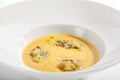 Pumpkin soup in white bowl Royalty Free Stock Photo