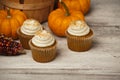Pumpkin Spice Cupcakes Royalty Free Stock Photo