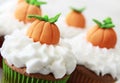 Pumpkin spice cupcakes Royalty Free Stock Photo