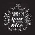 Pumpkin Spice and Everything Nice calligraphy hand lettering on chalkboard background. Inspirational autumn quote typography Royalty Free Stock Photo