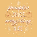 Pumpkin spice everything nice card. Trendy lettering autumn phrase. Seasonal party invitation. Autumn menu typography design. Royalty Free Stock Photo