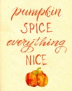 Pumpkin spice everything nice card. Trendy lettering autumn phrase. Seasonal party invitation. Autumn menu typography design. Royalty Free Stock Photo