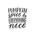 Pumpkin Spice and Everything Nice. Hand written lettering quote. Cozy phrase for winter or autumn time. Modern