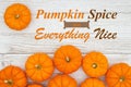 Pumpkin and Spice and Everything Nice message with pumpkins