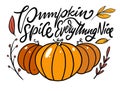 Pumpkin spice everything nice phrase. Modern calligraphy. Cartoon style. Royalty Free Stock Photo