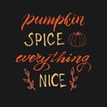 Pumpkin spice everything nice poster. Trendy lettering text autumn phrase. Seasonal party invitation. Autumn menu font design. Royalty Free Stock Photo