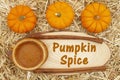 Pumpkin Spice message with a pumpkin pie and pumpkins and spice