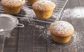 Pumpkin Spice Muffins Topped with Powdered Sugar on a Wooden Table