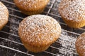 Pumpkin Spice Muffins Topped with Powdered Sugar on a Wooden Table