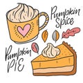 Pumpkin spice and Pumpkin pie. Hand drawn sketch. Line art style. Royalty Free Stock Photo
