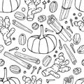 Pumpkin spice seamless pattern. Hand drawn Autumn backdrop. Doodle Outline vector illustration. Organic, fresh cooking, ingredient Royalty Free Stock Photo